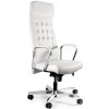 Kancelářská židle Unique Ares PU