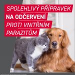 Frontcontrol Wormer pro psy 10 kg 2 tablety – Sleviste.cz