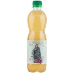 Stevikom Kombucha zelený čaj 0,5 l – Zboží Dáma
