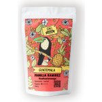 Alegre Café Roasters Familia Ramirez washed zrnková 150 g – Hledejceny.cz