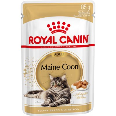 Royal Canin Maine Coon Adult v omáčce 12 x 85 g – Hledejceny.cz