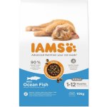 IAMS Advanced Nutrition Kitten s mořskou rybou 10 kg – Zboží Dáma