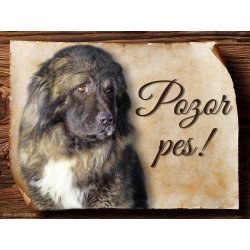 Sport hobby Cedulka Kavkazský pastevecký pes Pozor pes 15 x 11 cm