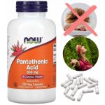 Now Foods Pantothenic Acid 500 mg 250 kapslí – Hledejceny.cz