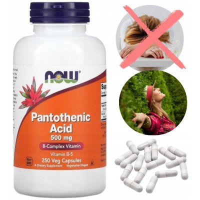 Now Foods Pantothenic Acid 500 mg 250 kapslí – Hledejceny.cz