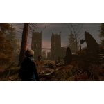 Through the Woods (Collector's Edition) – Hledejceny.cz