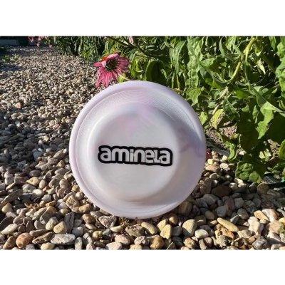 DTWorld Aminela Frisbee Fastback Flex – Sleviste.cz
