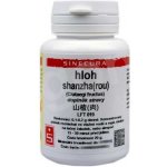 Sinecura Hloh shanzha rou prášek 20 g – Hledejceny.cz