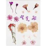 Sušené lisované květiny a listy 19ks - fialový mix