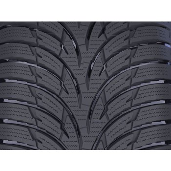 Nokian Tyres WR D3 215/60 R16 95H