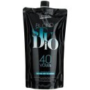 L'Oréal Blond Studio Nutri-Developer 12% 1000 ml