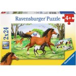 Ravensburger Svět koní 2 x 24 dílků – Hledejceny.cz