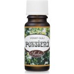 Saloos Vonný olej pokušení 10 ml – Hledejceny.cz