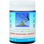 TCM Herbs Zátiší poustevníka Changa 100 tablet – Hledejceny.cz