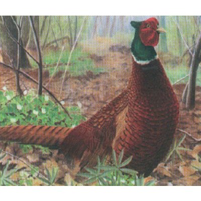 Black Flash Archery Terč na lukostřelbu Bažant – Zboží Dáma