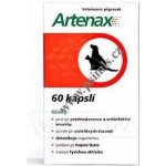 Folio Artenax 60cps – Zboží Mobilmania