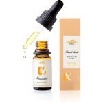 Eta Aroma esenciální olej Návrat domů 10 ml – Hledejceny.cz