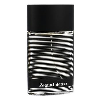 Ermenegildo Zegna Intenso toaletní voda pánská 50 ml