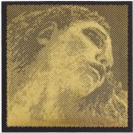 Pirastro EVAH PIRAZZI GOLD 415091 – Zboží Dáma