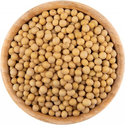 Vital Country Sójové boby BIO 1 kg – Sleviste.cz