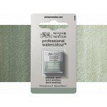 Winsor & Newton Professional akvarelová barva půlpánvička Mineral Grey – Zboží Dáma