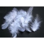 Bílá peříčka v boxu 250 ks 15 gramů – Sleviste.cz