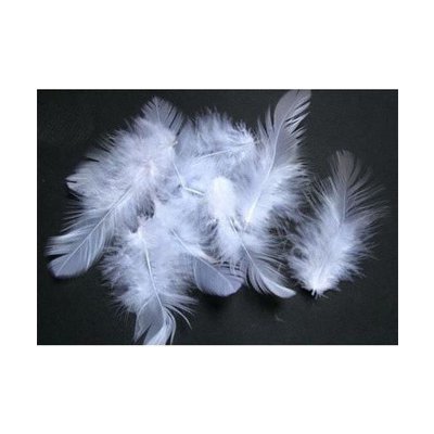 Bílá peříčka v boxu 250 ks 15 gramů – Sleviste.cz