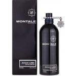 Montale Aoud Lime parfémovaná voda unisex 100 ml – Hledejceny.cz