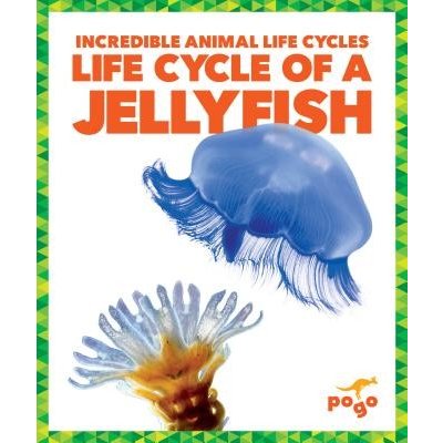 Life Cycle of a Jellyfish Kenney KarenPevná vazba