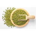 RageFitness Fazole mungo 0,5 kg – Zboží Dáma RageFitness Fazole mungo 0,5 kg – Zboží Dáma