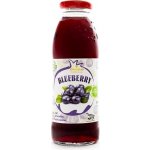 Georgian Borůvkový 100% džus Nectar 300 ml – Hledejceny.cz