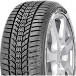 Sava Eskimo HP2 205/55 R17 95V – Hledejceny.cz