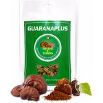 Guaranaplus Reishi + Chaga XL 400 kapslí – Hledejceny.cz