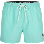 O'Neill pánské kraťasy FULL STRETCH SHORTS 2800050-16011 – Zbozi.Blesk.cz