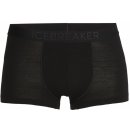 Icebreaker Mens Anatomica Cool-Lite Trunks, Black