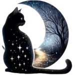 Nažehlovací obrázek - černá kočka III (16,4 x 17,0 cm) – Hledejceny.cz