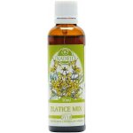 Naděje Zlatice mix tinktura speciální výluh z bylin 50 ml – Hledejceny.cz