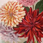 Skona Ting Papírový ubrousek Dahlia – Hledejceny.cz