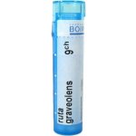 RUTA GRAVEOLENS POR 9CH GRA 4G – Hledejceny.cz