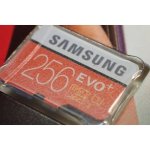 Samsung microSDXC UHS-I U3 256 GB MB-MC256GA/EU – Zboží Živě