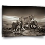 Sablio Obraz Lvice a lvíčata - 60x40 cm – Hledejceny.cz