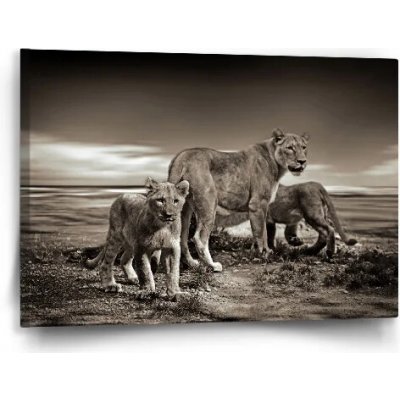 Sablio Obraz Lvice a lvíčata - 60x40 cm – Hledejceny.cz