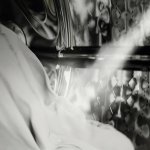 Miele WTR870 WPM – Sleviste.cz