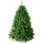 Kanadská borovice 120cm – Hledejceny.cz