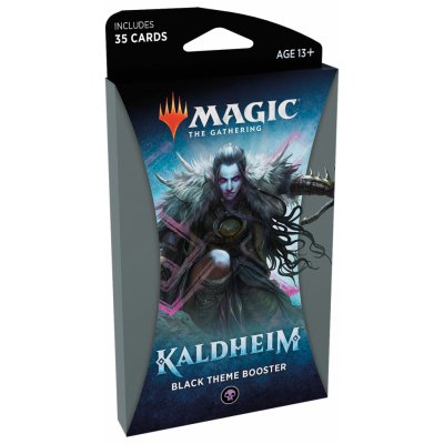 Wizards of the Coast Magic The Gathering: Kaldheim Theme Booster Black – Zboží Mobilmania