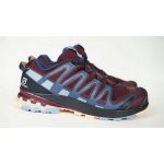 Salomon XA Pro 3D V8 GTX M Black L40988900 – Sleviste.cz