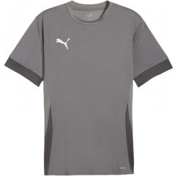 Puma team Goal Matchday Jersey 705747-13