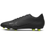 Nike Mercurial Vapor 15 Club FG/MG DJ5963-001 Černé – Zbozi.Blesk.cz