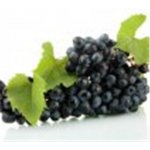 AK-Filter AV3 Černý střapec 3 x 20 g – Zboží Dáma