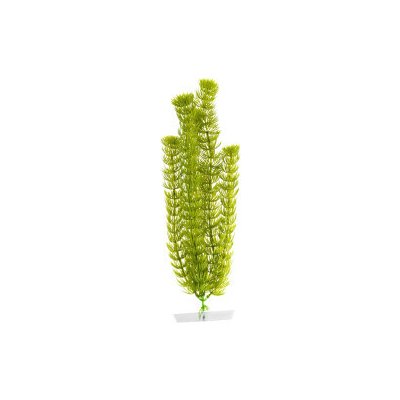 JK ANIMALS Anacharis 38-43 cm – Hledejceny.cz